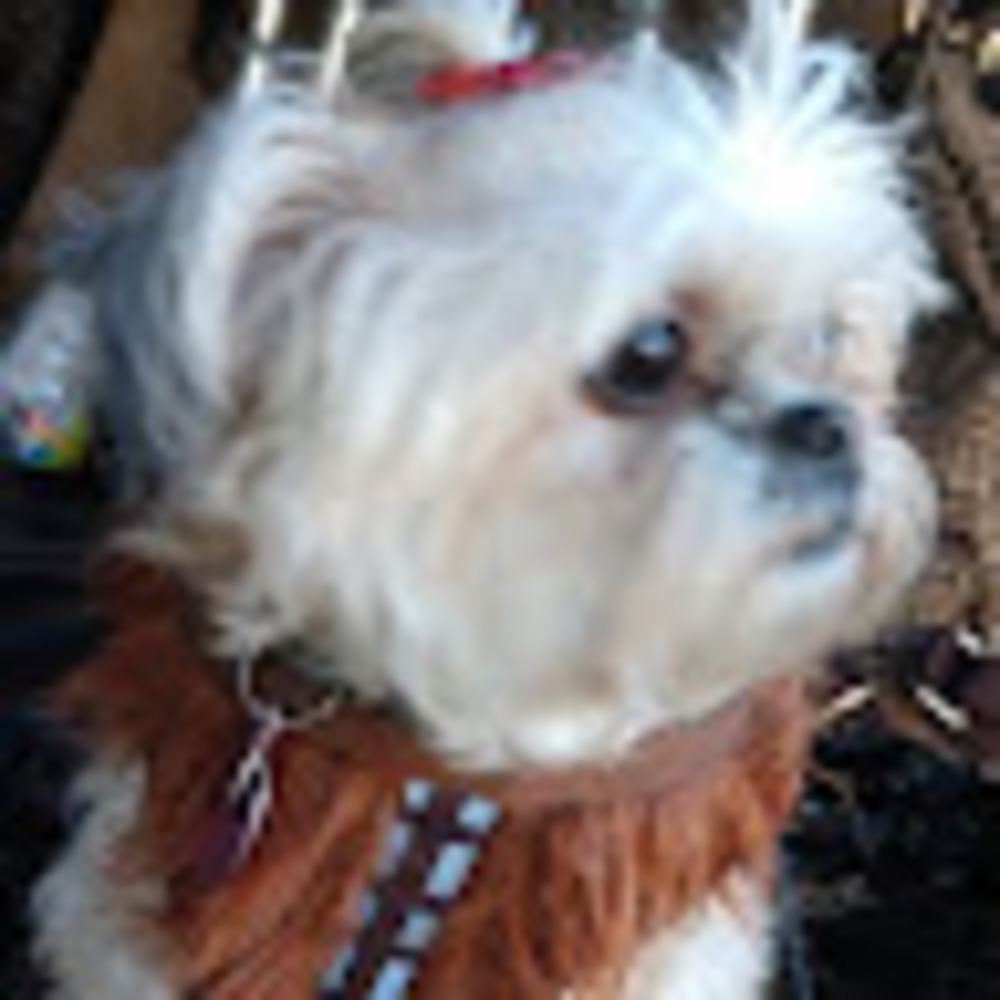 Meet your Posher, Lora